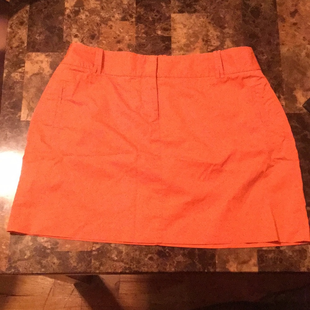 J-Crew Aline skirt